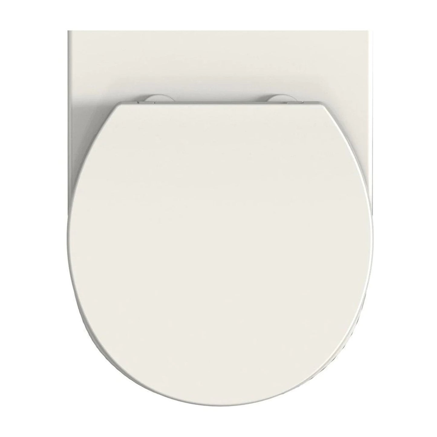 Toiletpot compleet met softclose zitting – Mat Wit